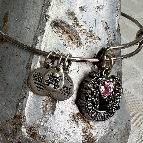 Alex and Ani Silver Tone Expandable Bracelet Love and Luck Pink Stone Charm - Picture 3 of 8